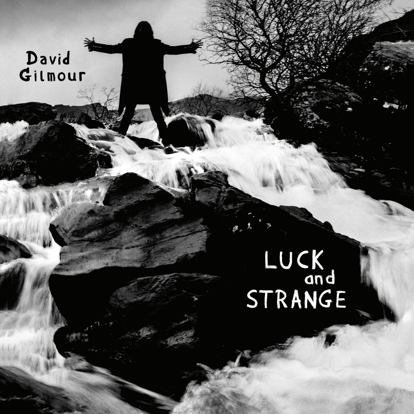 Gilmour, David - Luck and Strange (Sea Blue Vinyl)