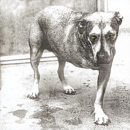 Alice in Chains - Self Title