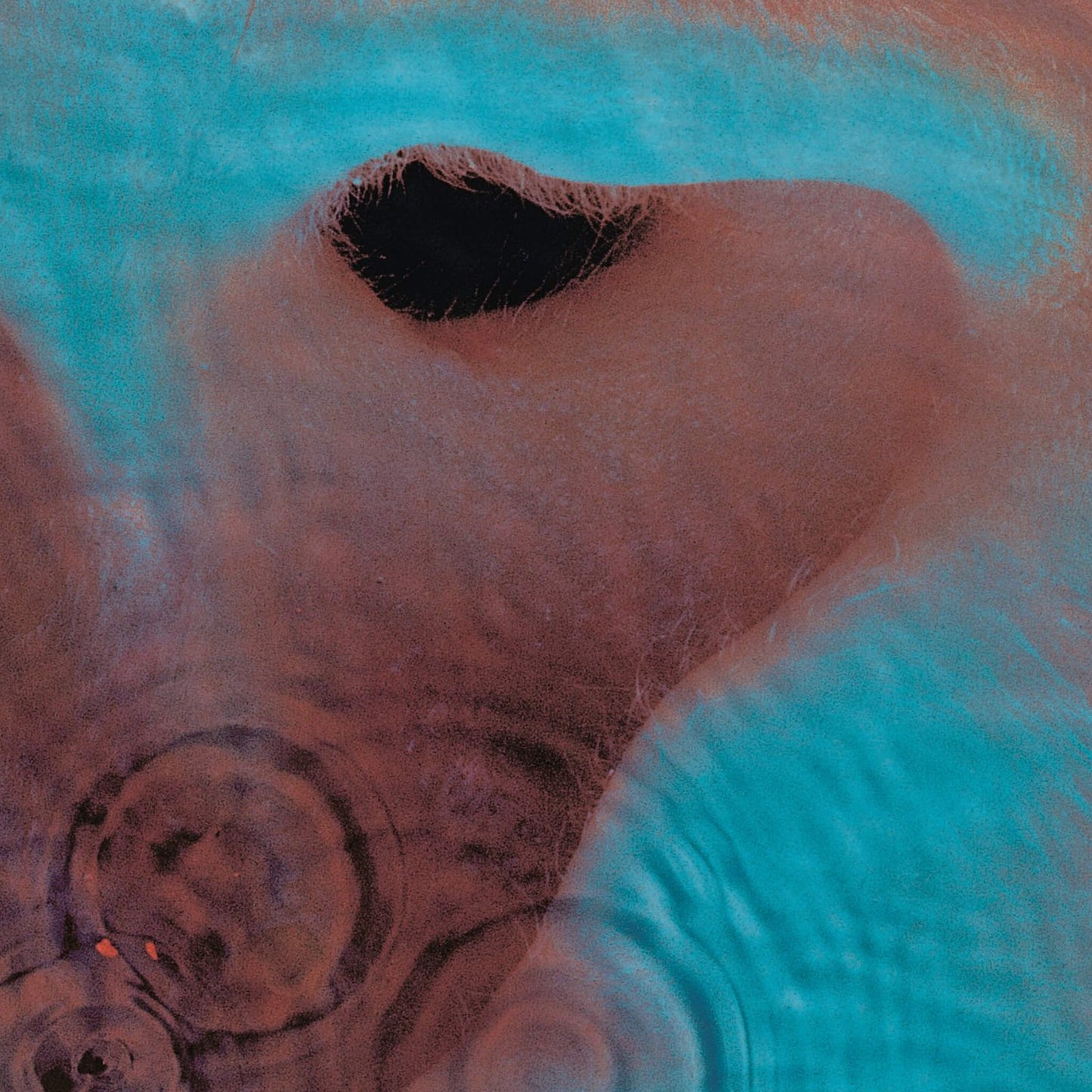 Pink Floyd - Meddle
