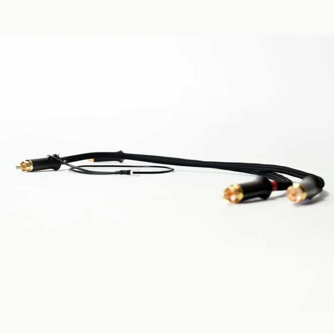 Advance Paris Link RCA Interconnect