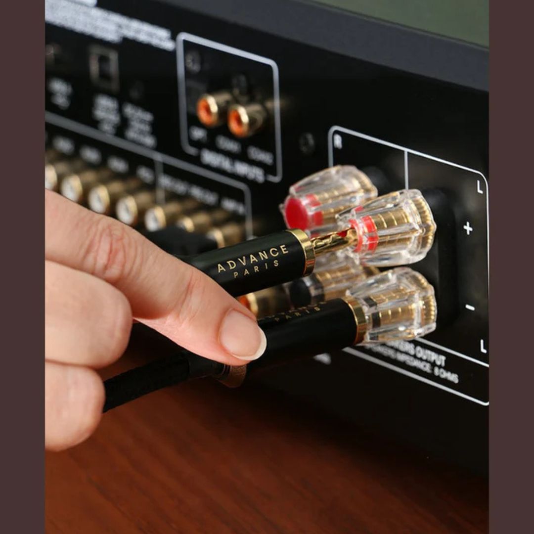 ADVANCE PARIS - LINK SPEAKER High Performance Shielded Analog Audio Cable