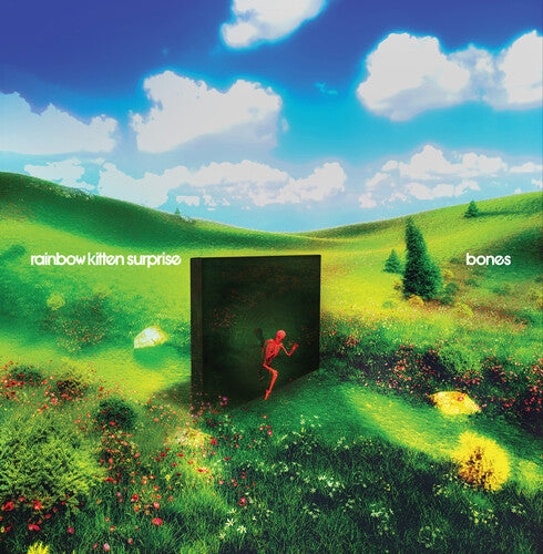 Rainbow Kitten Surprise - Bones (Indie Exclusive Banana Vinyl)
