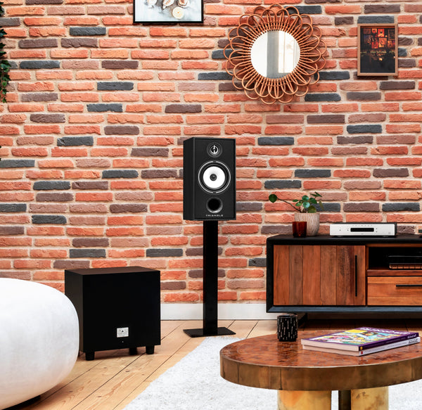 Triangle Speakers