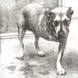 Alice in Chains - Self Title