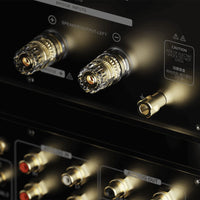 Eversolo AMP-F10 Class AB Power Amplifier