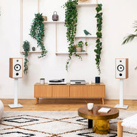 Triangle Borea BRO4 HI-FI Bookshelf Speaker