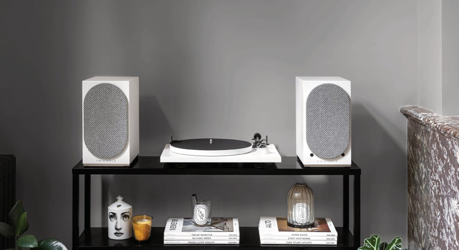 THE LOVE OF VINYL RECORDS