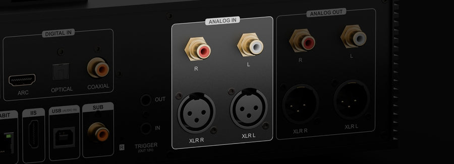 XLR / RCA Analog Input