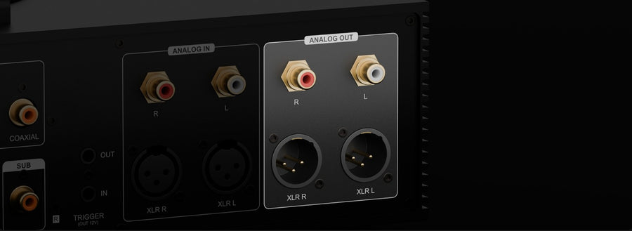 XLR / RCA Analog Output