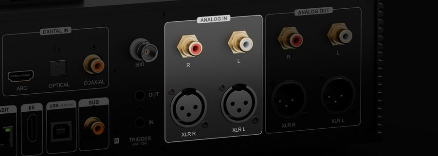 XLR / RCA Analog Input