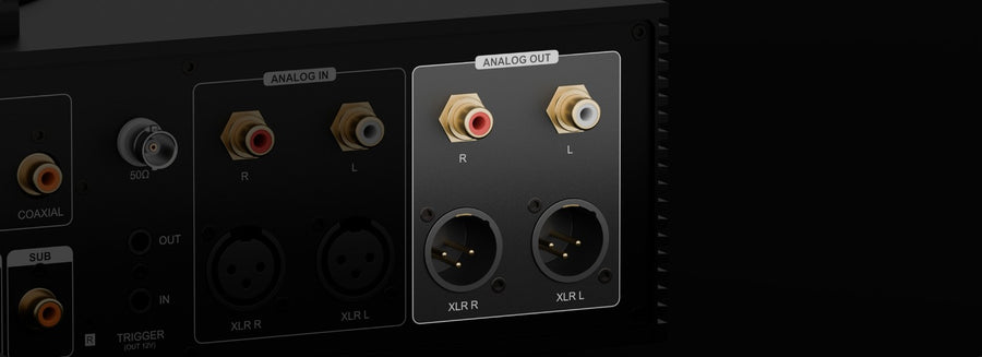 XLR / RCA Analog Output
