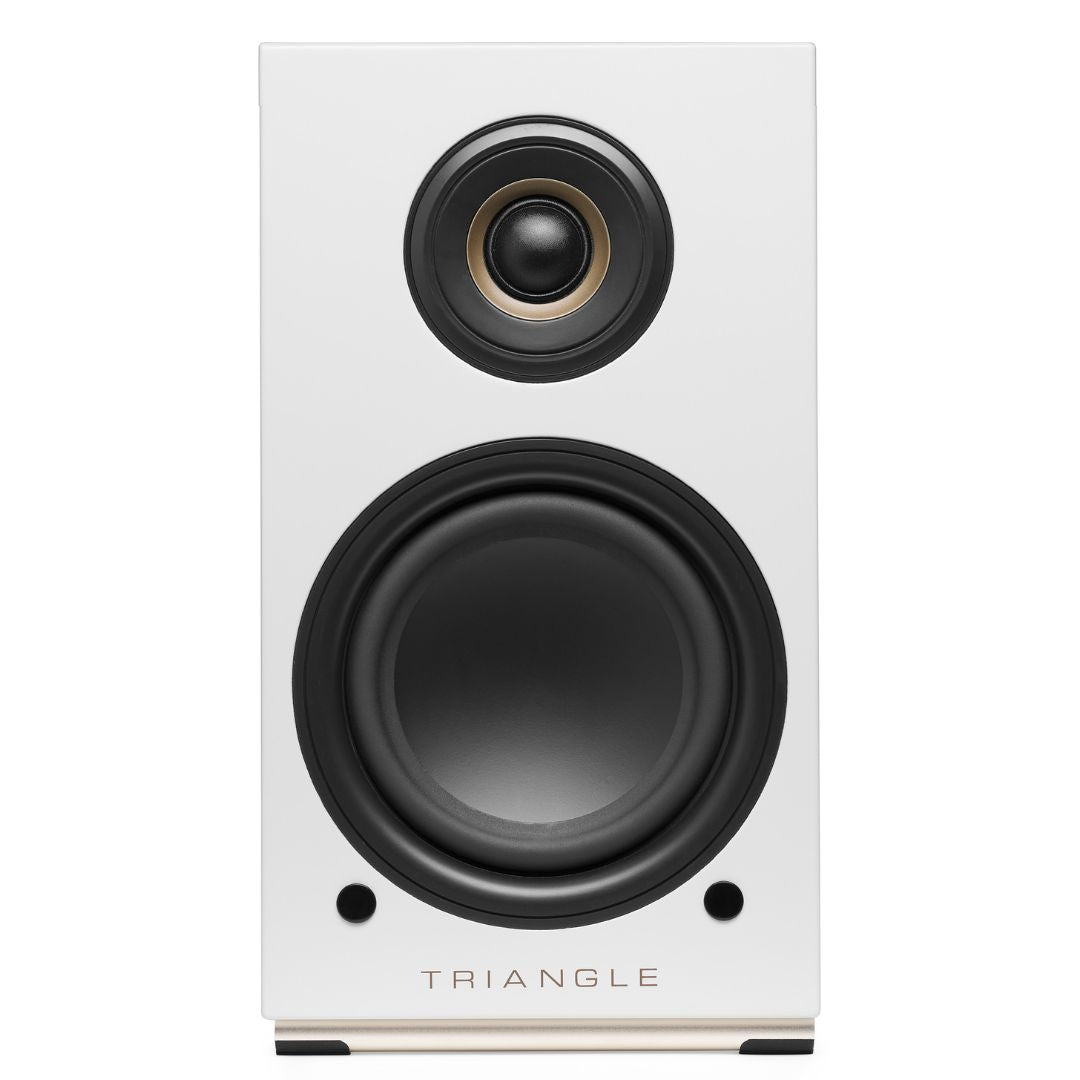 Triangle AIO Twin Powered Monitors