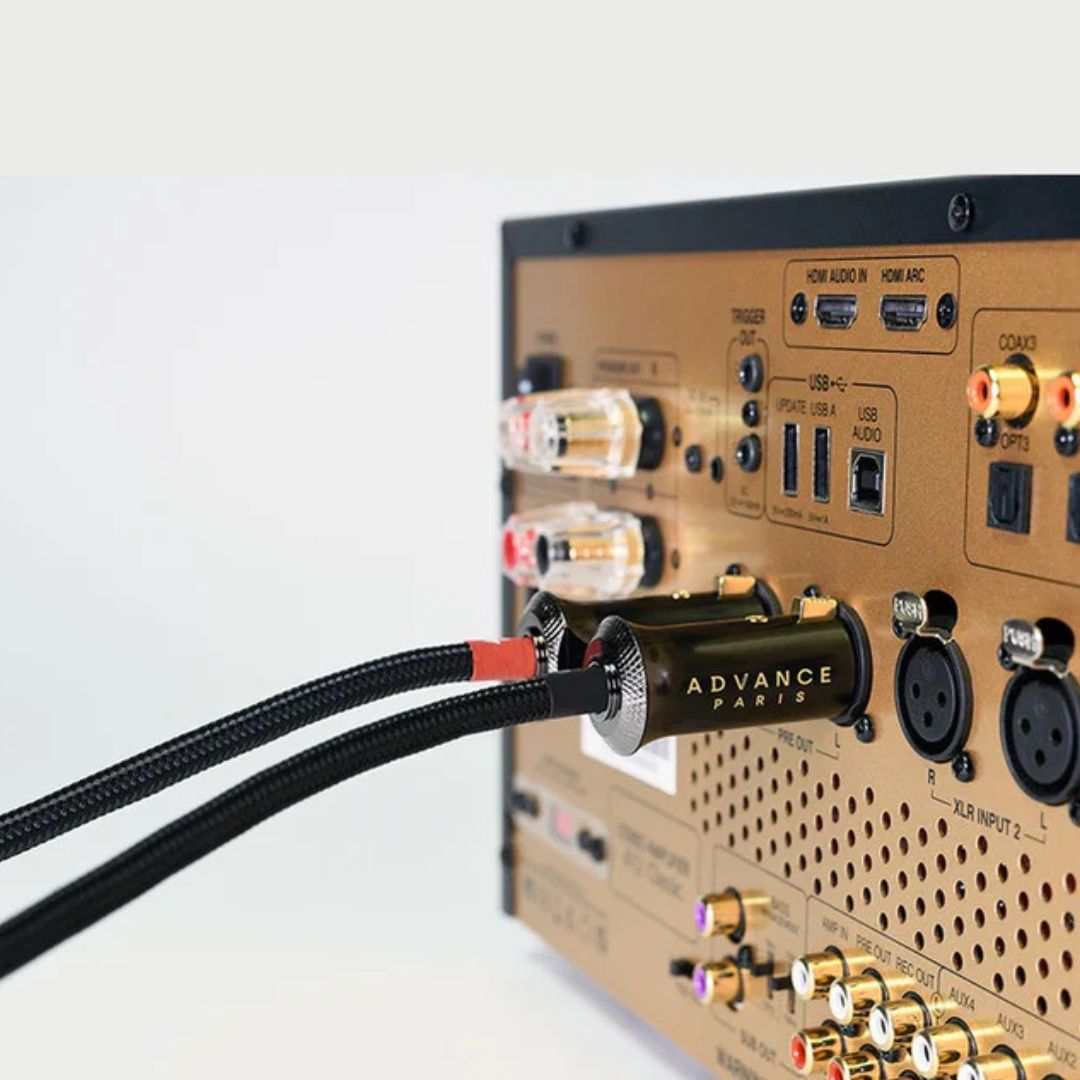 Advance Paris Link XLR Interconnect