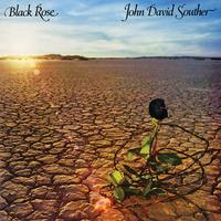 Souther, John David (JD) - Black Rose (45 RPM Analogue Productions`)