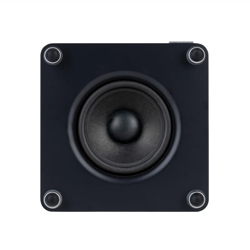 RS1 Subwoofer