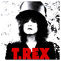 T. Rex - The Slider
