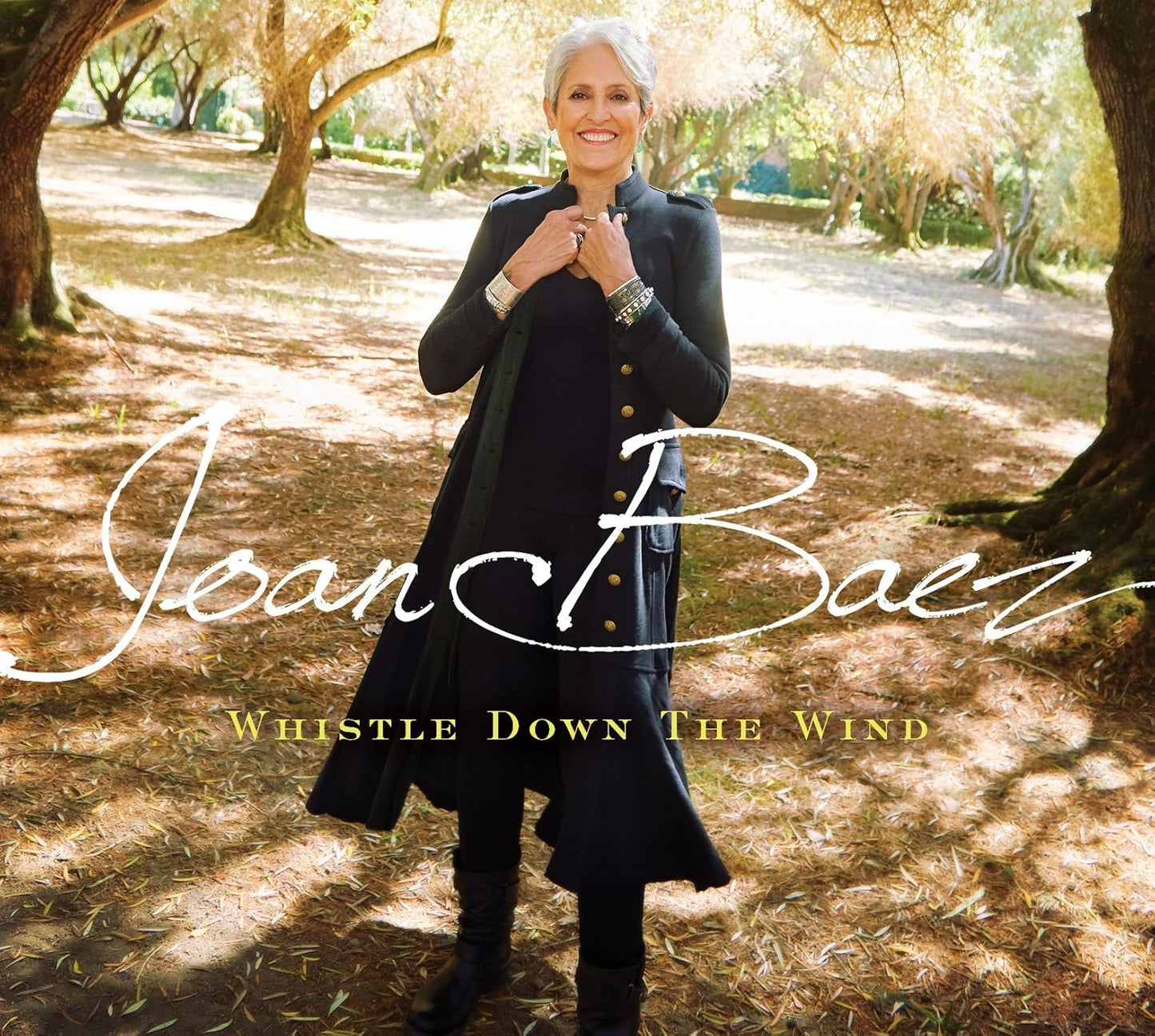 Baez, Joan - Whistle Down The Wind